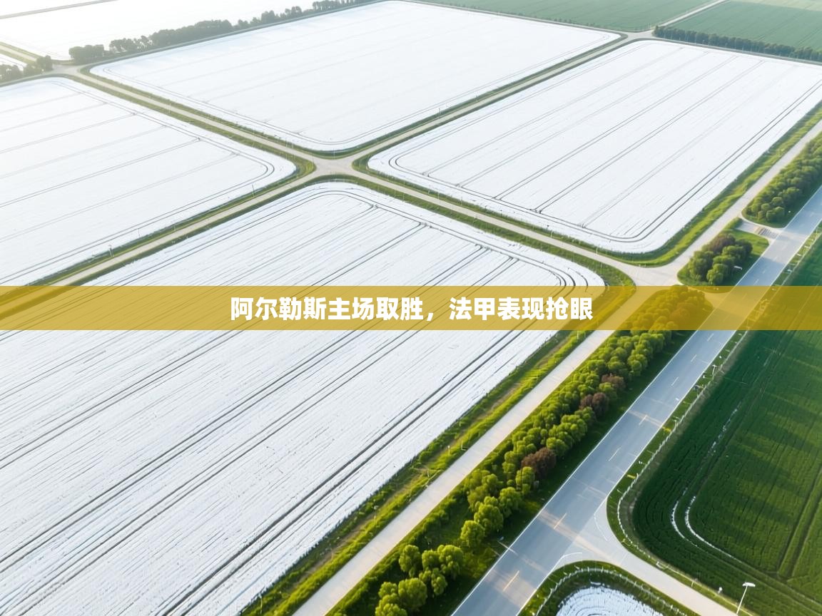 阿尔勒斯主场取胜,法甲表现抢眼