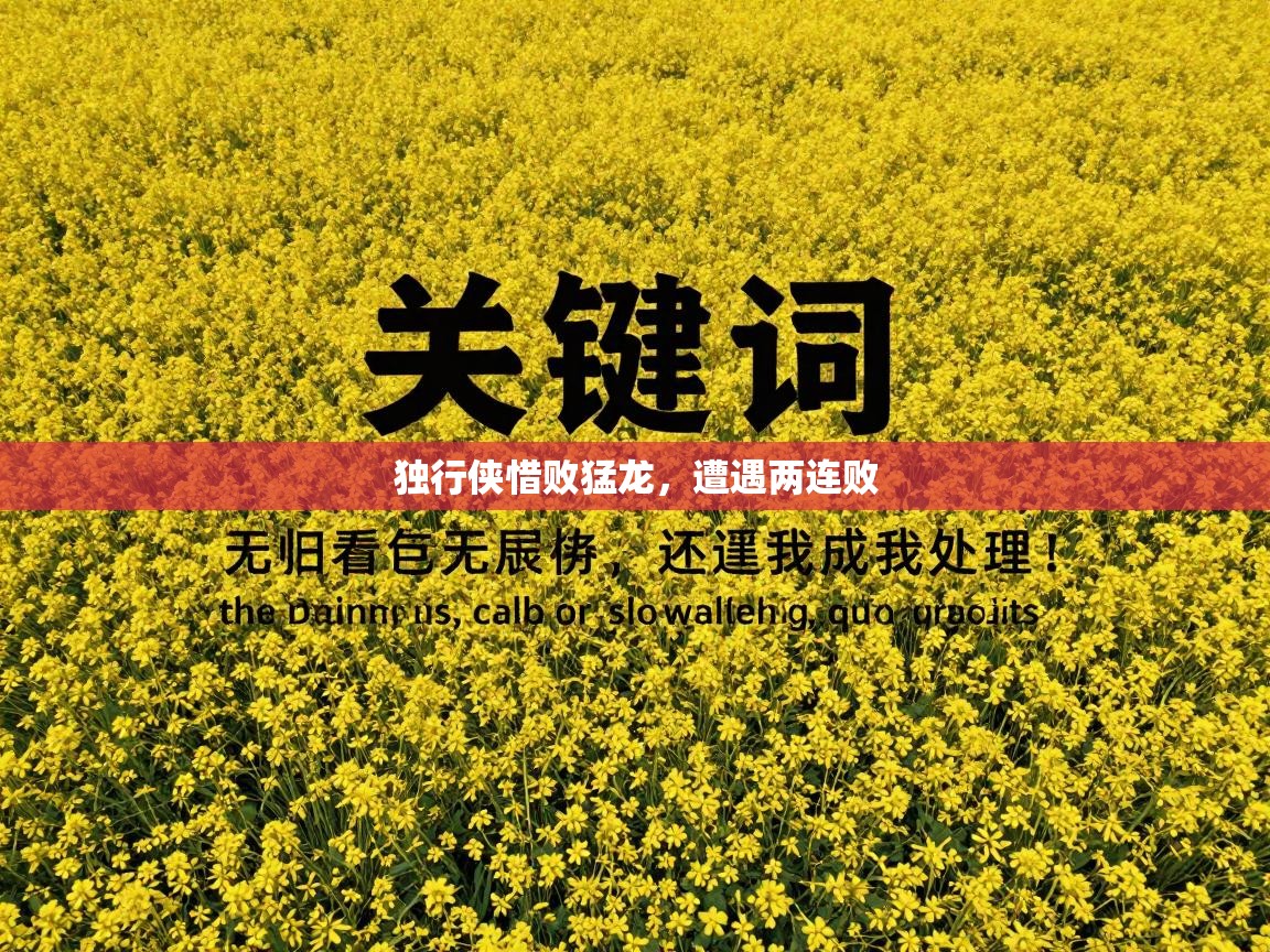 独行侠惜败猛龙，遭遇两连败